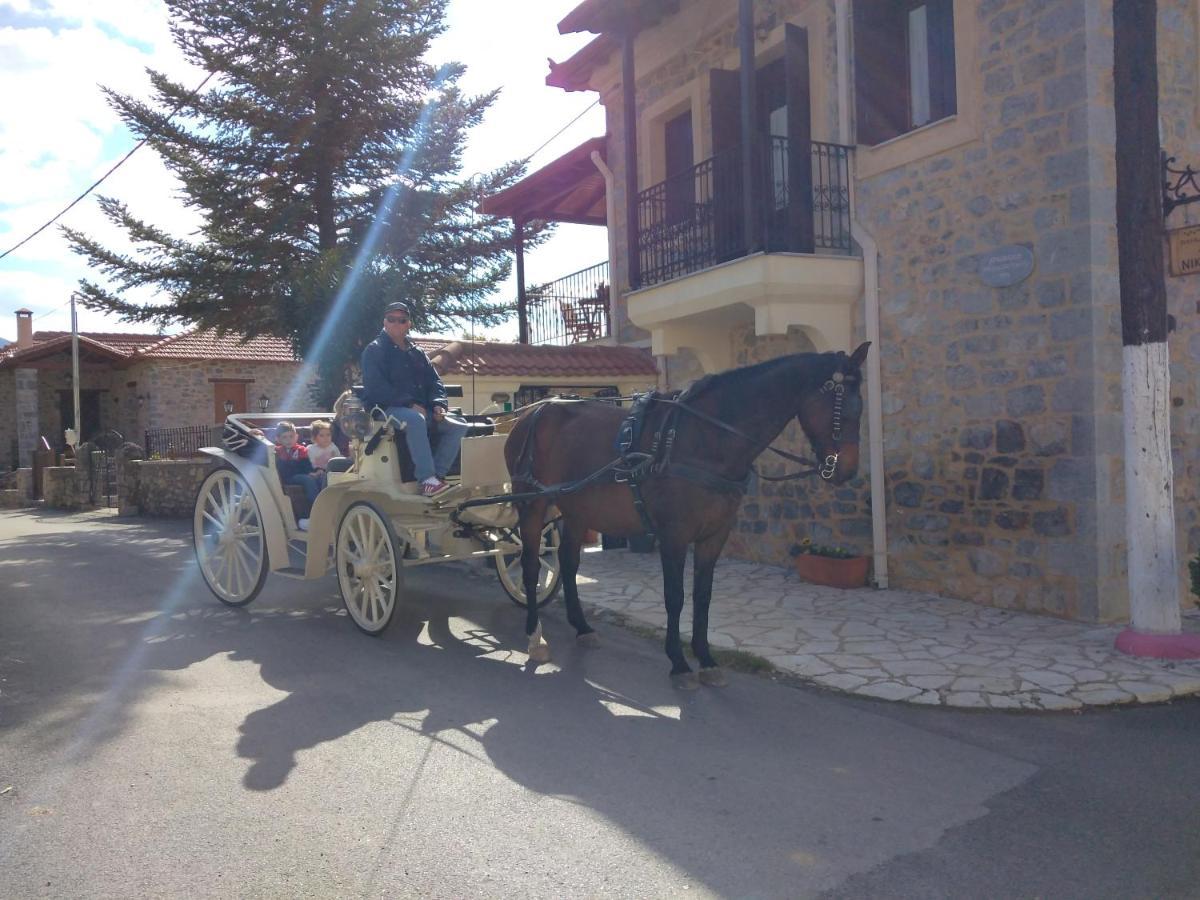 Archontiko Nikolopoulou Hotel Витина Екстериор снимка