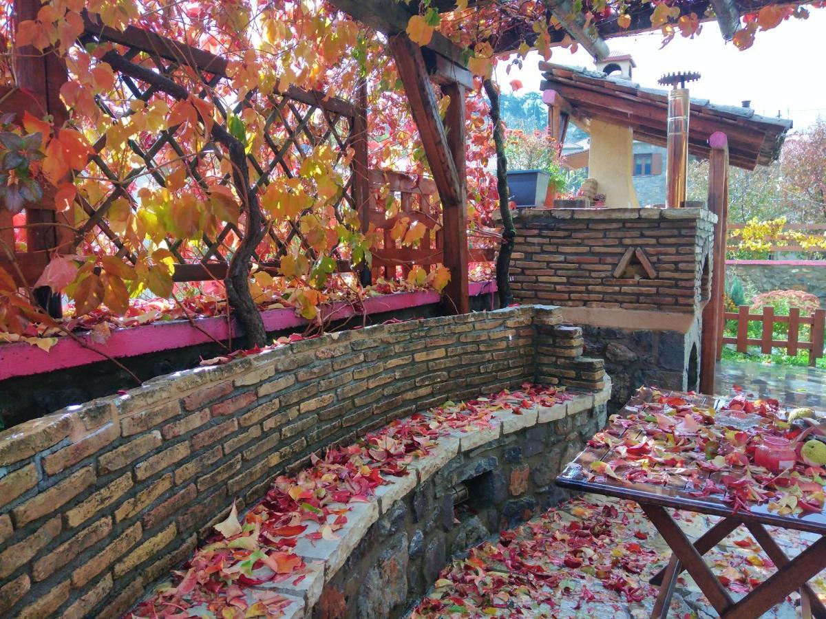 Archontiko Nikolopoulou Hotel Витина Екстериор снимка