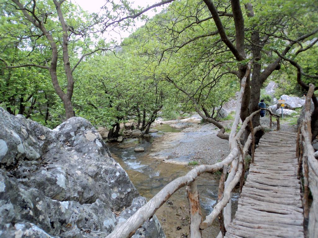 Archontiko Nikolopoulou Hotel Витина Екстериор снимка