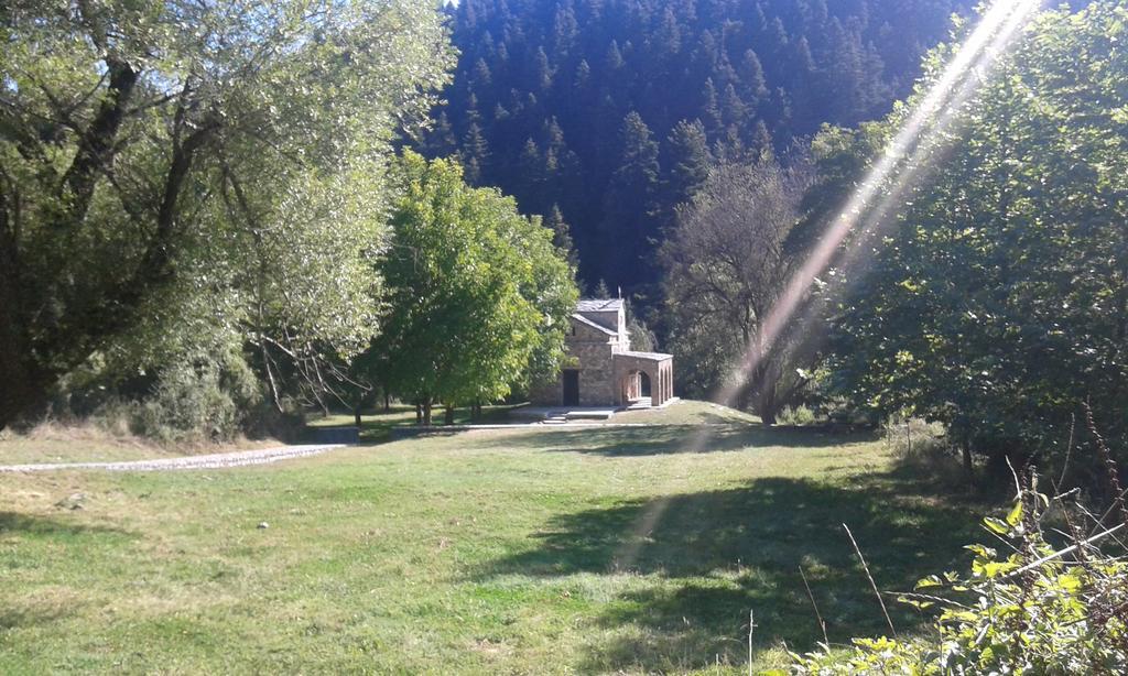 Archontiko Nikolopoulou Hotel Витина Екстериор снимка