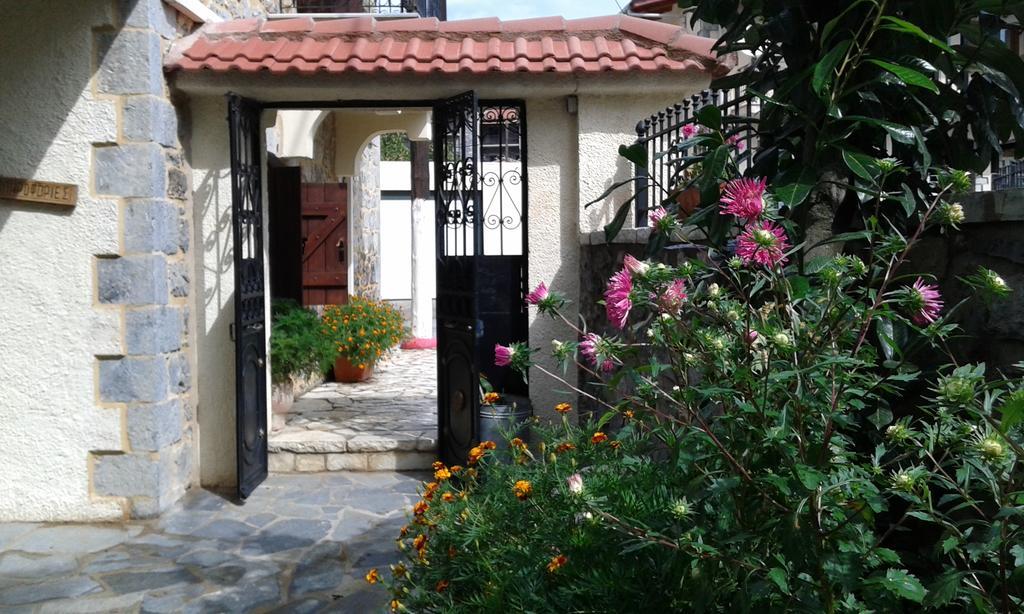 Archontiko Nikolopoulou Hotel Витина Екстериор снимка