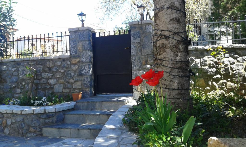 Archontiko Nikolopoulou Hotel Витина Екстериор снимка