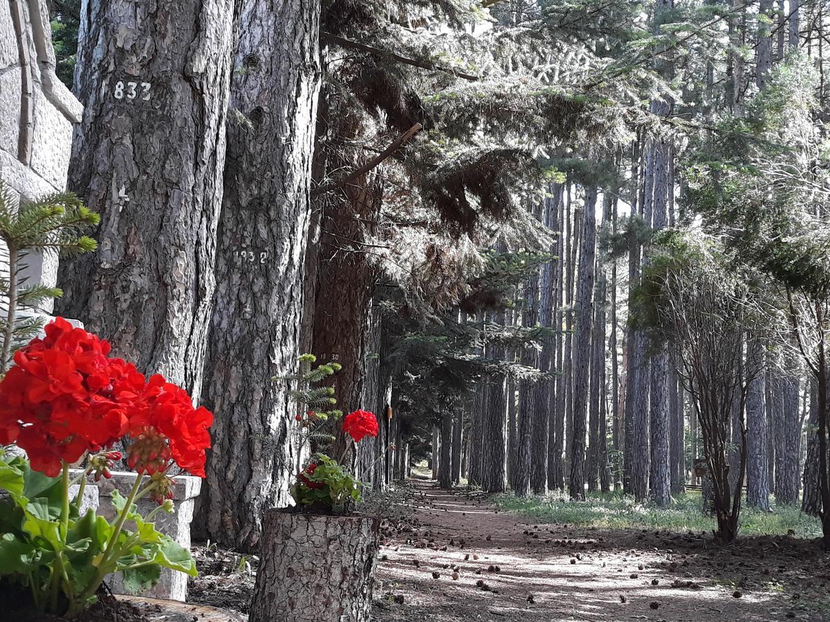 Archontiko Nikolopoulou Hotel Витина Екстериор снимка