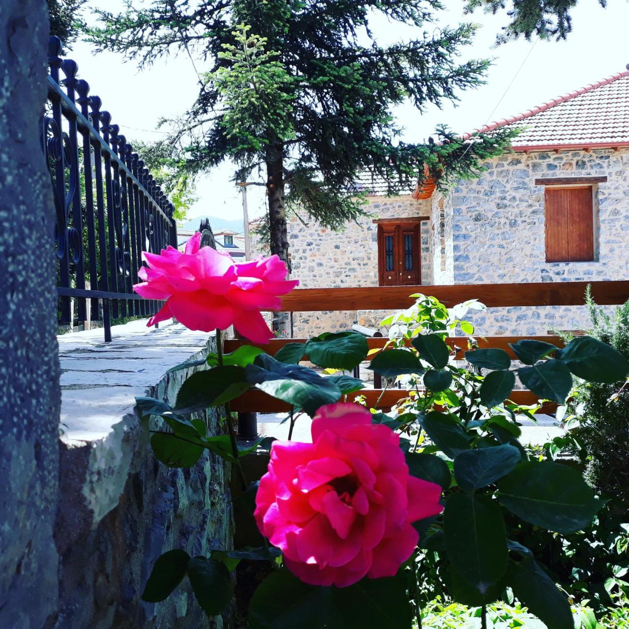 Archontiko Nikolopoulou Hotel Витина Екстериор снимка