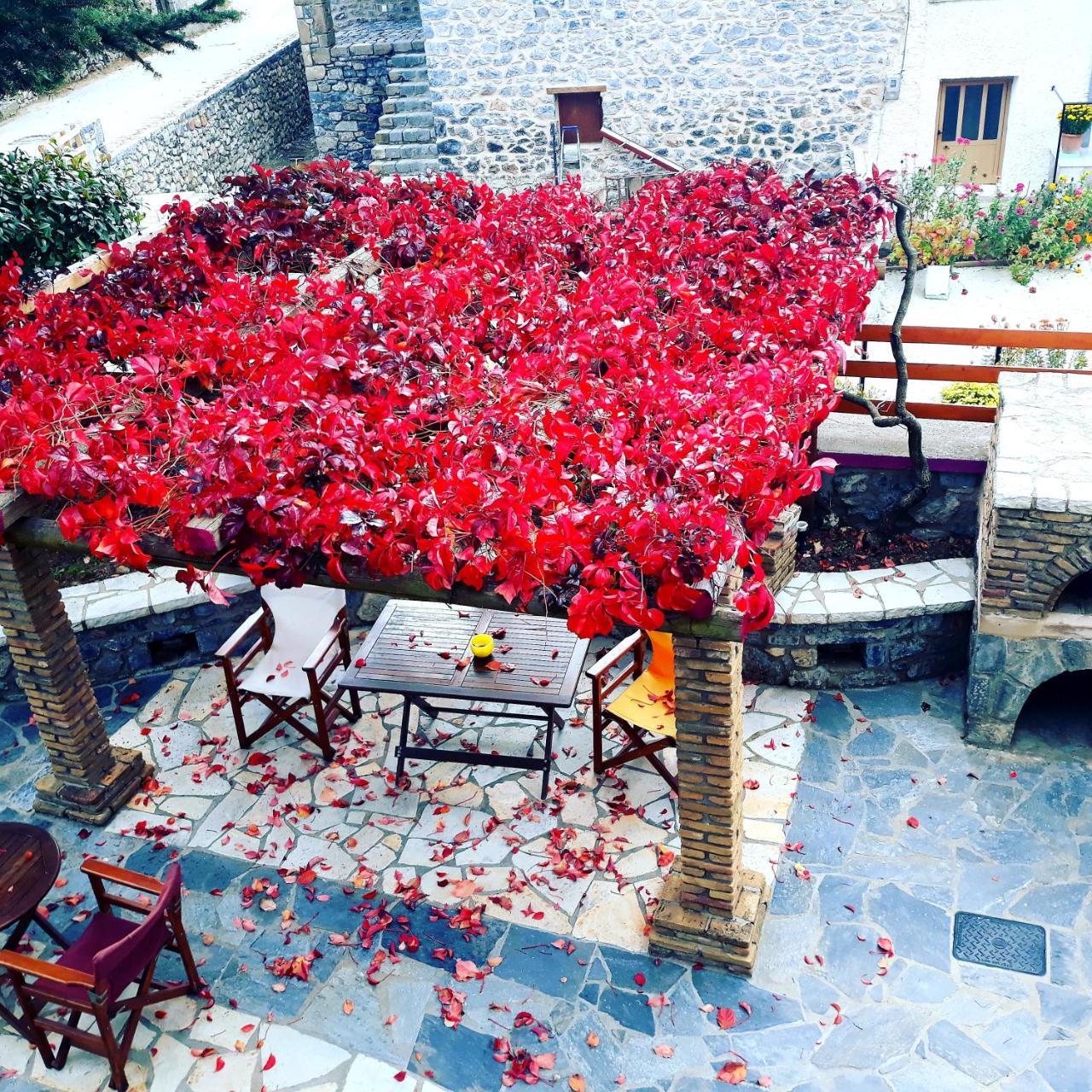 Archontiko Nikolopoulou Hotel Витина Екстериор снимка